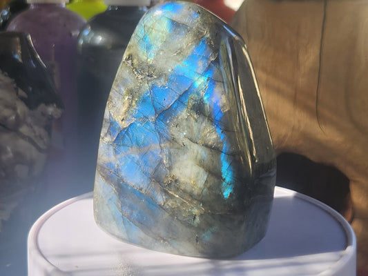 Stones free form